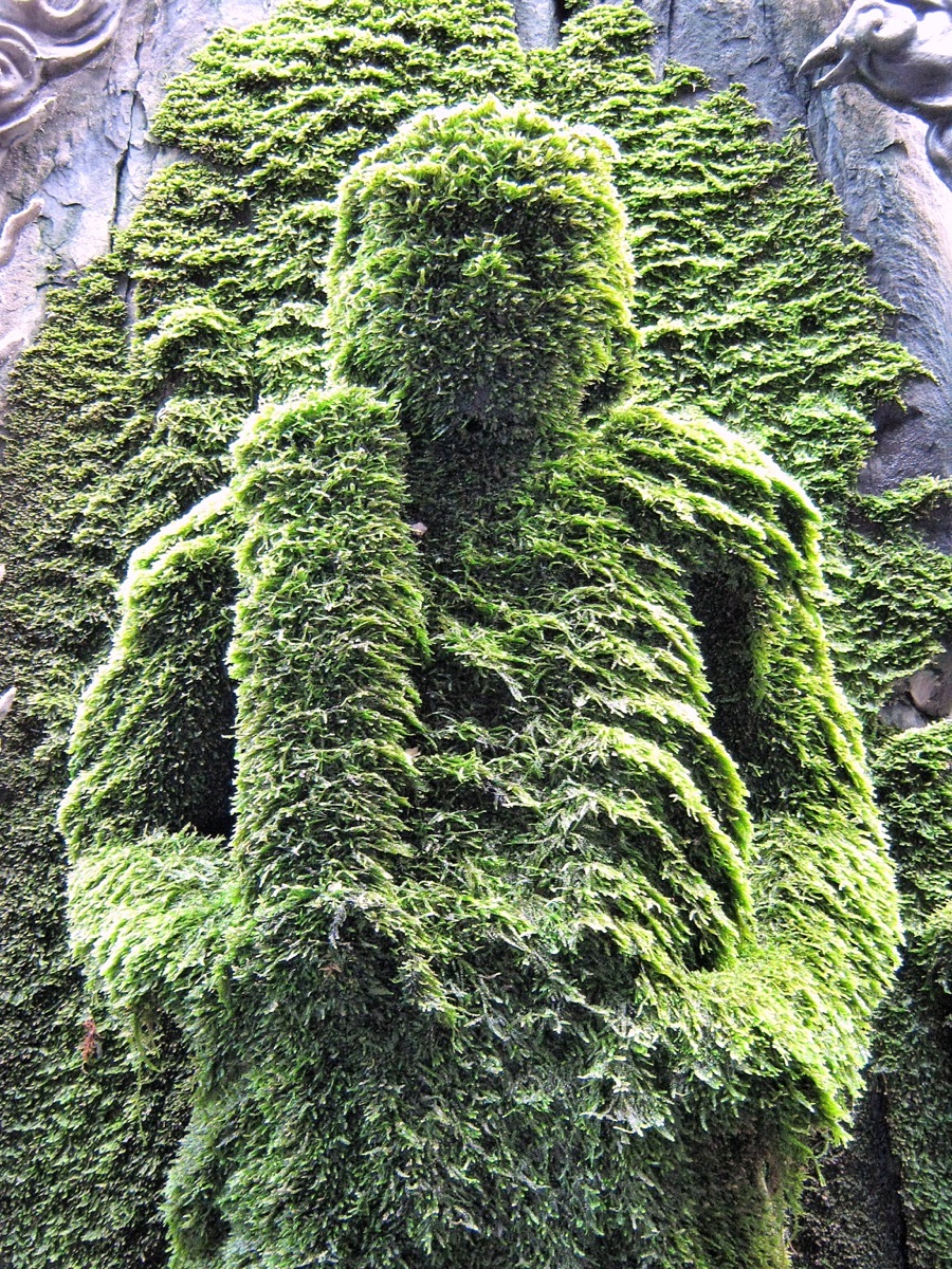 法善寺の苔むした不動明王